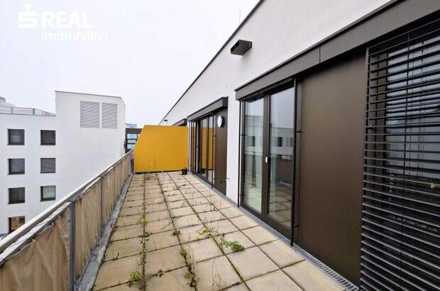 Terrassenwohnung mieten in 1030 Wien (Bild 2)