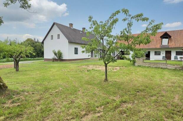 Bauernhaus kaufen in 8481 Weinburg (Bild 1)