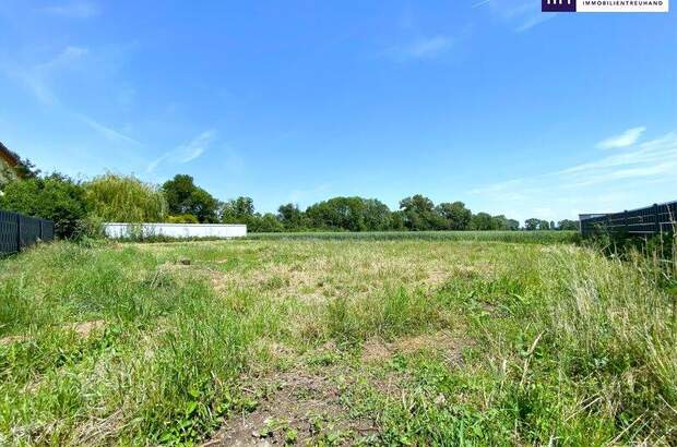 Grundstück kaufen in 2441 Mitterndorf (Bild 2)