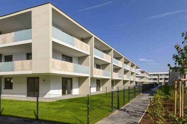 Wohnung mieten in 2700 Wiener Neustadt (Bild 4)