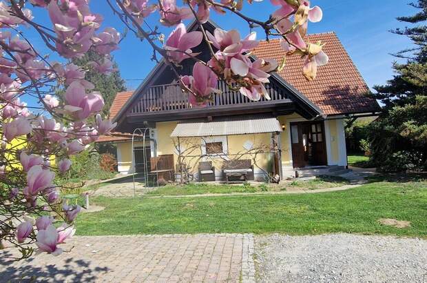 Haus kaufen in 8523 Frauental (Bild 3)