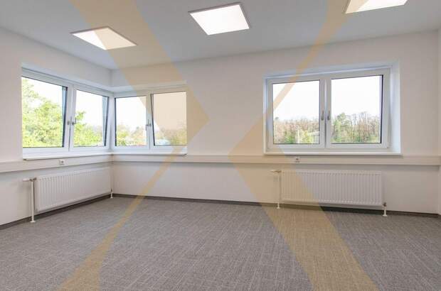 Gewerbeobjekt mieten in 4060 Leonding (Bild 1)