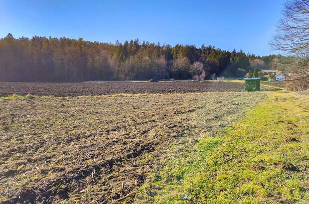 Gewerbeobjekt kaufen in 8561 Söding (Bild 4)