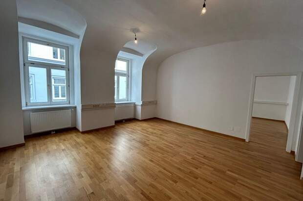 Gewerbeobjekt mieten in 1060 Wien (Bild 4)