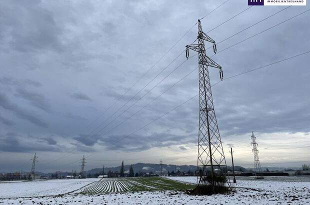 Grundstück kaufen in 8431 Gralla (Bild 5)
