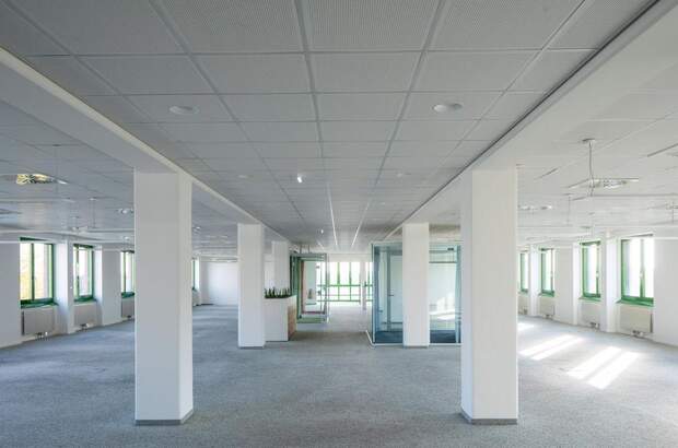 Gewerbeobjekt mieten in 1220 Wien (Bild 2)