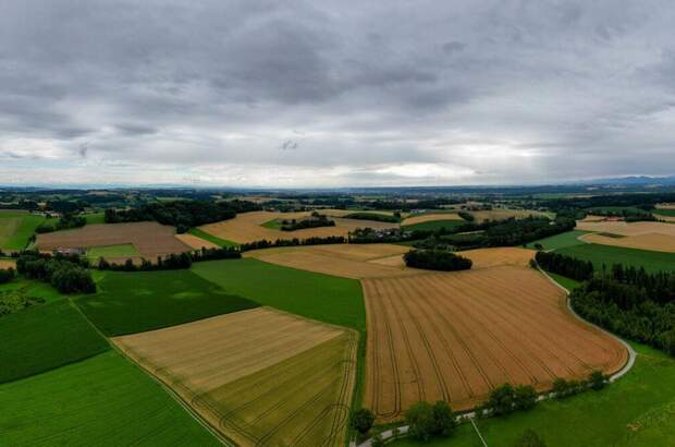 Gewerbeobjekt kaufen in 4600 Gunskirchen (Bild 5)