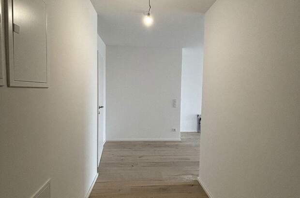 Mietwohnung in 1190 Wien (Bild 3)