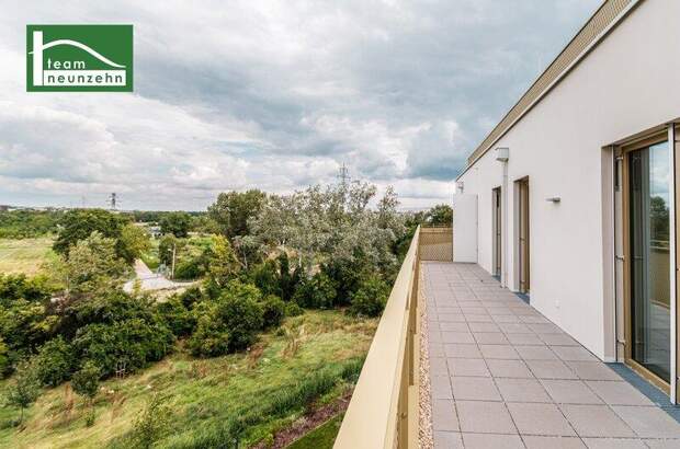 Terrassenwohnung kaufen in 1210 Wien (Bild 3)