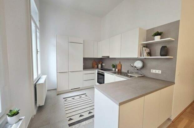 Terrassenwohnung mieten in 1040 Wien (Bild 2)