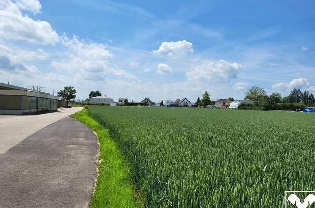 Gewerbeobjekt mieten in 4063 Hörsching (Bild 2)