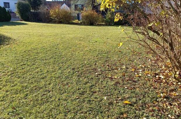 Mehrfamilienhaus kaufen in 2404 Petronell (Bild 3)