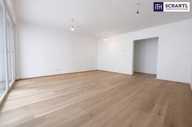 Terrassenwohnung kaufen in 2514 Traiskirchen (Bild 1)