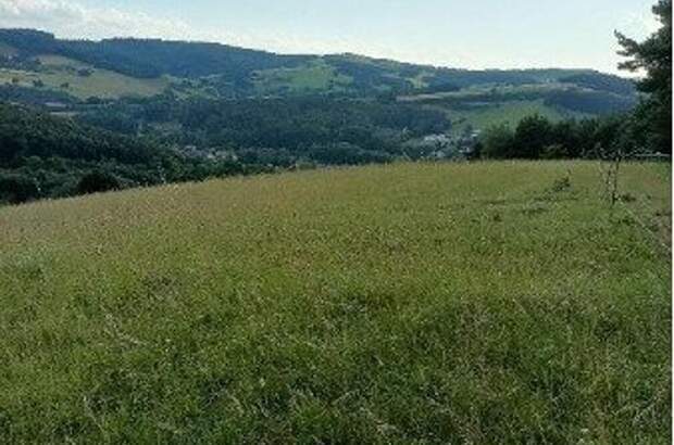 Grundstück kaufen in 3051 Neulengbach (Bild 2)