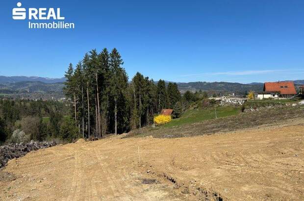 Grundstück kaufen in 8570 Voitsberg (Bild 1)