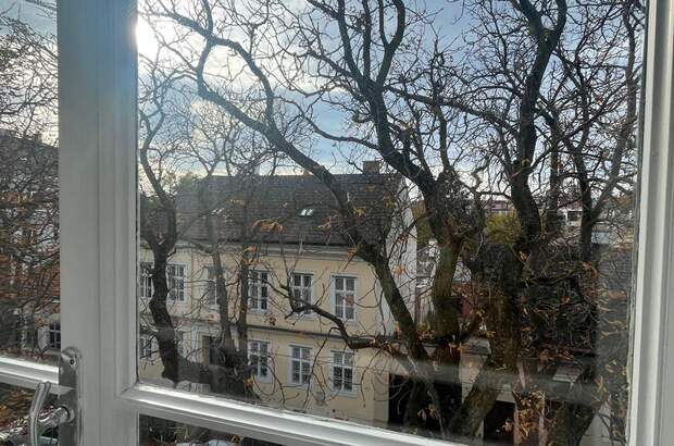 Altbauwohnung mieten in 1190 Wien (Bild 2)