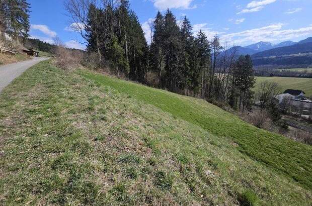 Grundstück kaufen in 9702 Ferndorf (Bild 4)