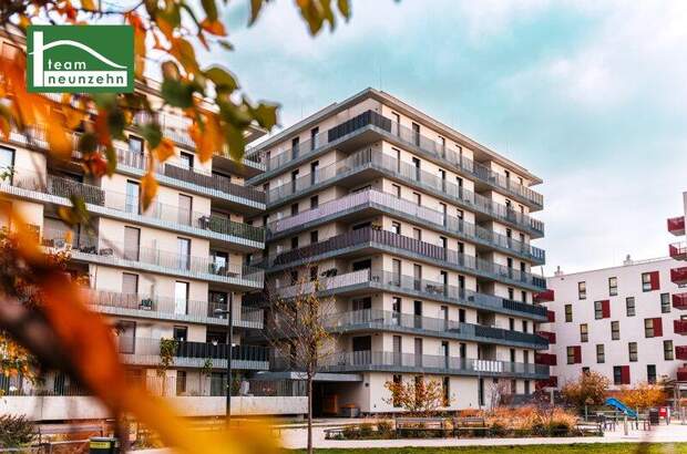 Terrassenwohnung mieten in 1220 Wien (Bild 1)