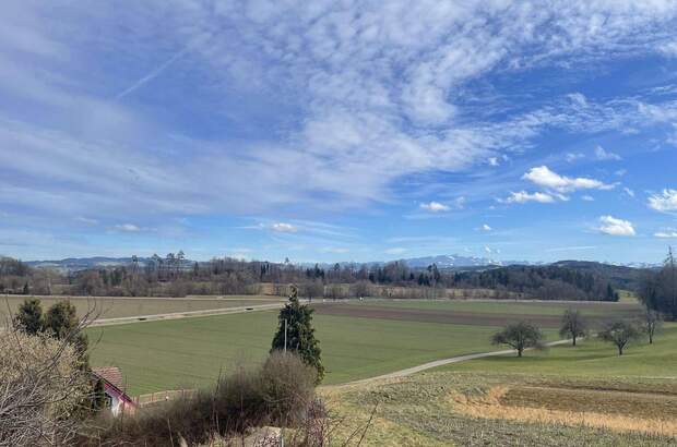 Haus mit Garten kaufen in 8523 Hagenbuch (Bild 1)