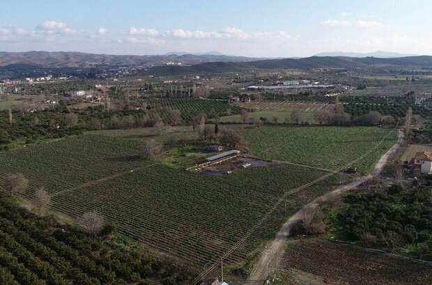 Grundstück kaufen in 150186 Seferihisar (Bild 3)