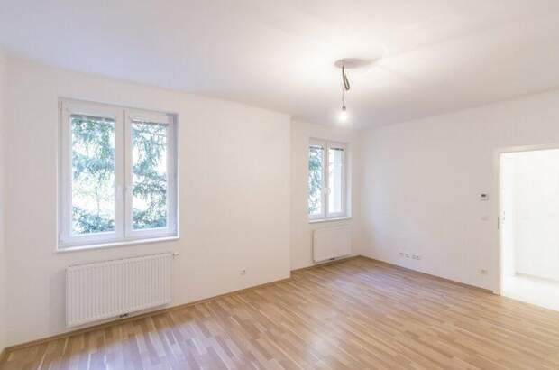 Wohnung mieten in 1060 Wien (Bild 1)