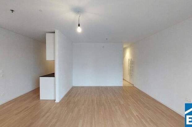 Terrassenwohnung mieten in 1100 Wien (Bild 3)
