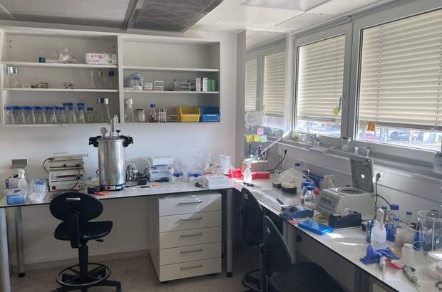 Gewerbeobjekt mieten in 1210 Wien (Bild 2)