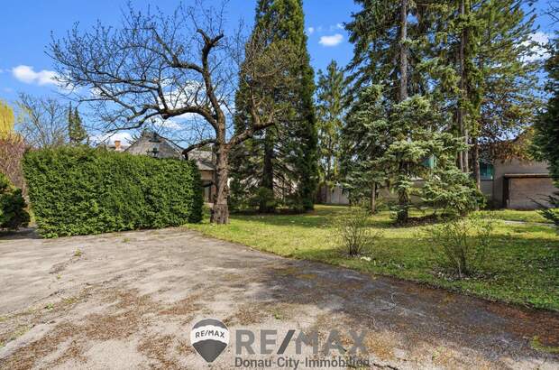 Einfamilienhaus kaufen in 2380 Perchtoldsdorf (Bild 3)