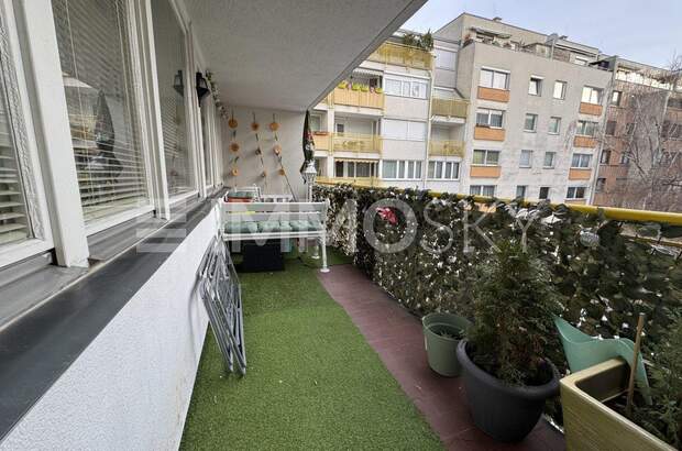 Terrassenwohnung kaufen in 1100 Wien (Bild 1)