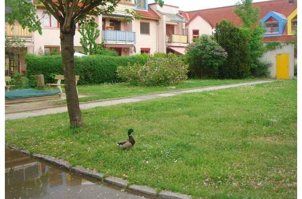 Terrassenwohnung mieten in 8042 Graz (Bild 1)