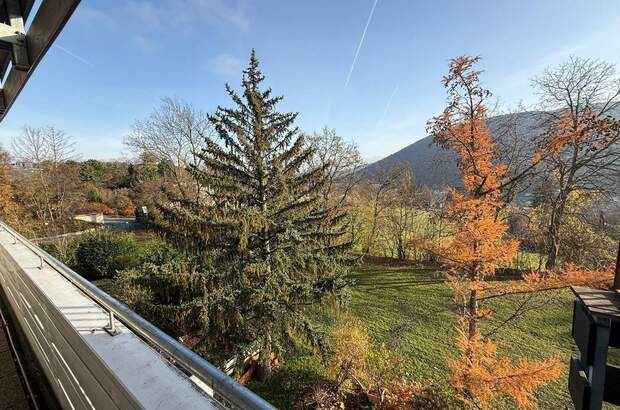 Wohnung mit Balkon mieten in 2371 Hinterbrühl (Bild 1)