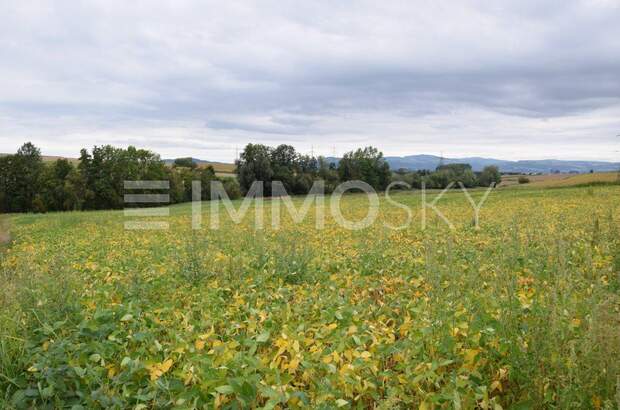 Grundstück kaufen in 4030 Linz (Bild 4)