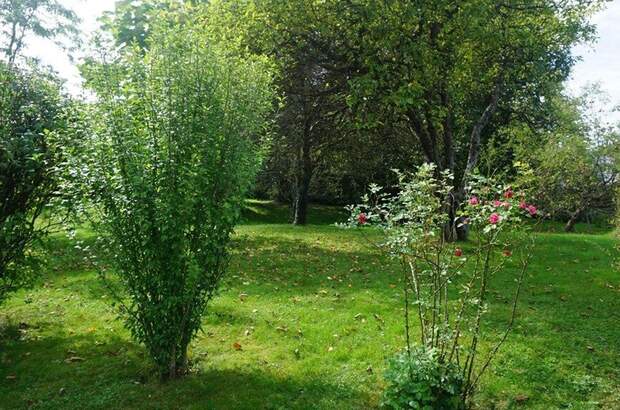 Anlageobjekt kaufen in 4971 Aurolzmünster (Bild 3)