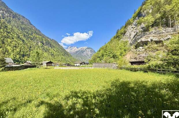 Grundstück kaufen in 5093 Weißbach (Bild 3)