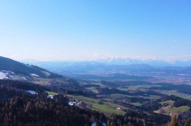 Grundstück kaufen in 9431 Wolfsberg (Bild 1)