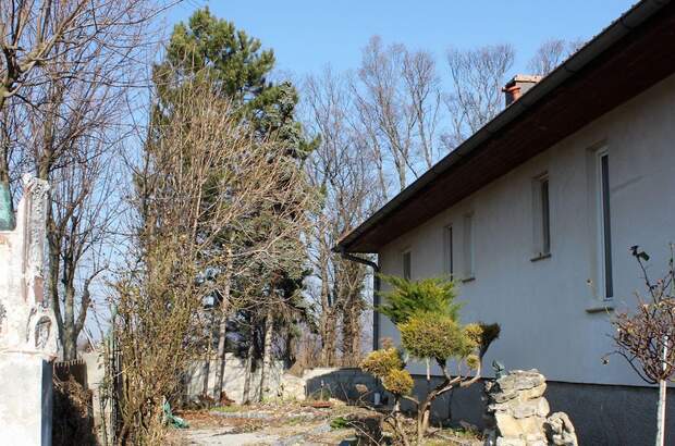 Haus mit Garten kaufen in 7091 Breitenbrunn (Bild 5)