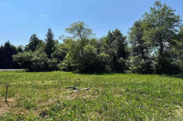 Grundstück kaufen in 8421 Wolfsberg (Bild 4)