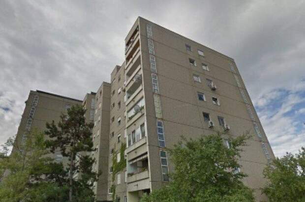 Terrassenwohnung mieten in 2351 Wr. Neudorf (Bild 1)