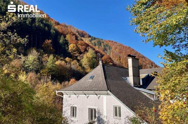 Chalet kaufen in 3340 Waidhofen (Bild 2)