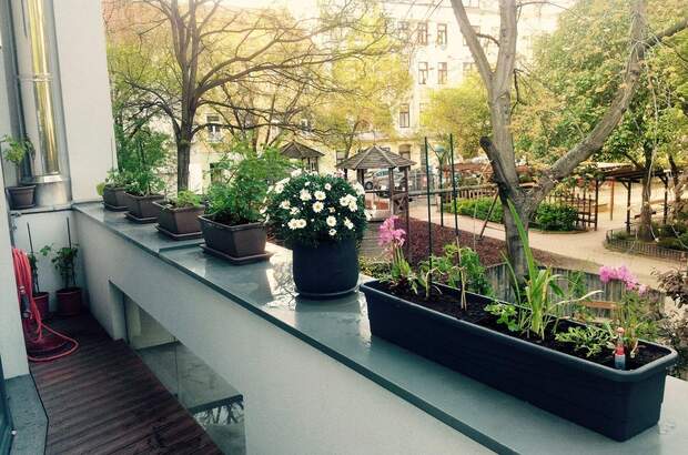 Wohnung mit Balkon mieten in 1050 Wien (Bild 3)