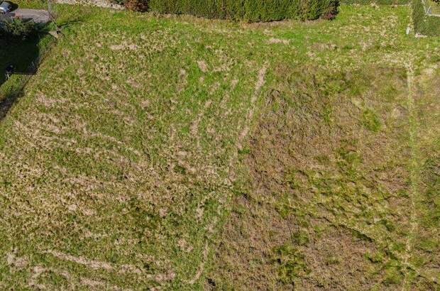 Grundstück kaufen in 9556 Liebenfels (Bild 5)