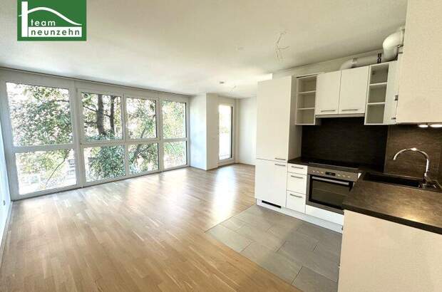 Terrassenwohnung mieten in 1200 Wien (Bild 1)