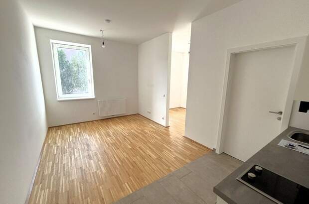 Altbauwohnung mieten in 4040 Linz (Bild 1)