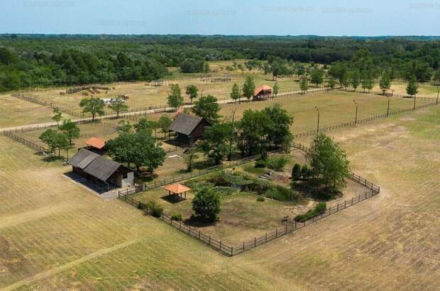 Haus kaufen in 6114 Bugac (Bild 1)