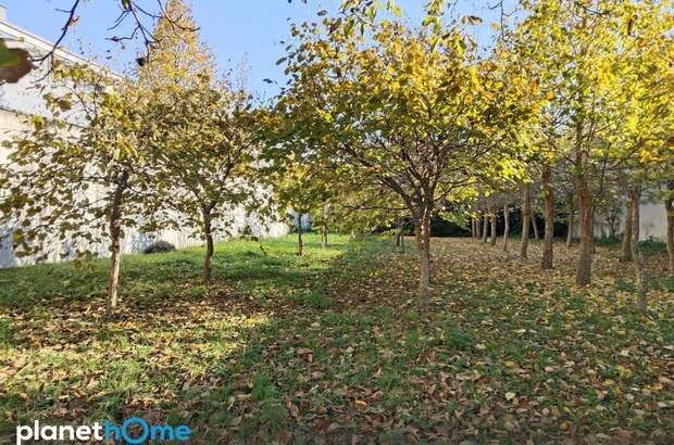 Grundstück kaufen in 2432 Schwadorf (Bild 4)