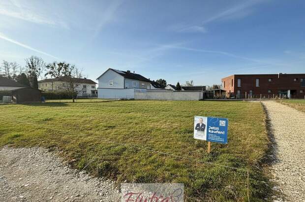 Grundstück kaufen in 4614 Marchtrenk (Bild 1)