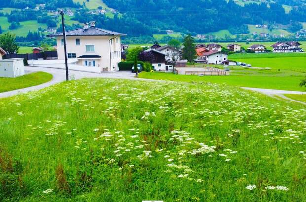 Grundstück kaufen in 6275 Stumm (Bild 4)