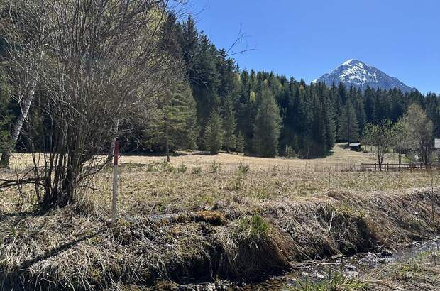Grundstück kaufen in 8982 Tauplitz (Bild 5)