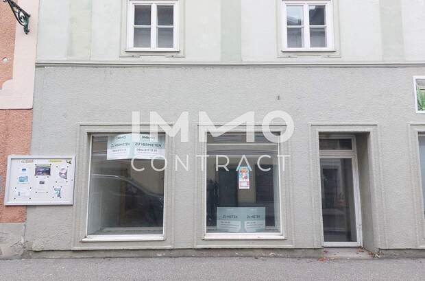 Gewerbeobjekt mieten in 4470 Enns (Bild 2)