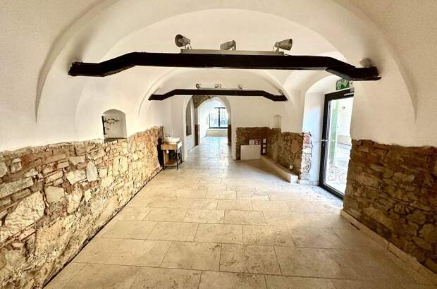 Gewerbeobjekt mieten in 8160 Weiz (Bild 3)